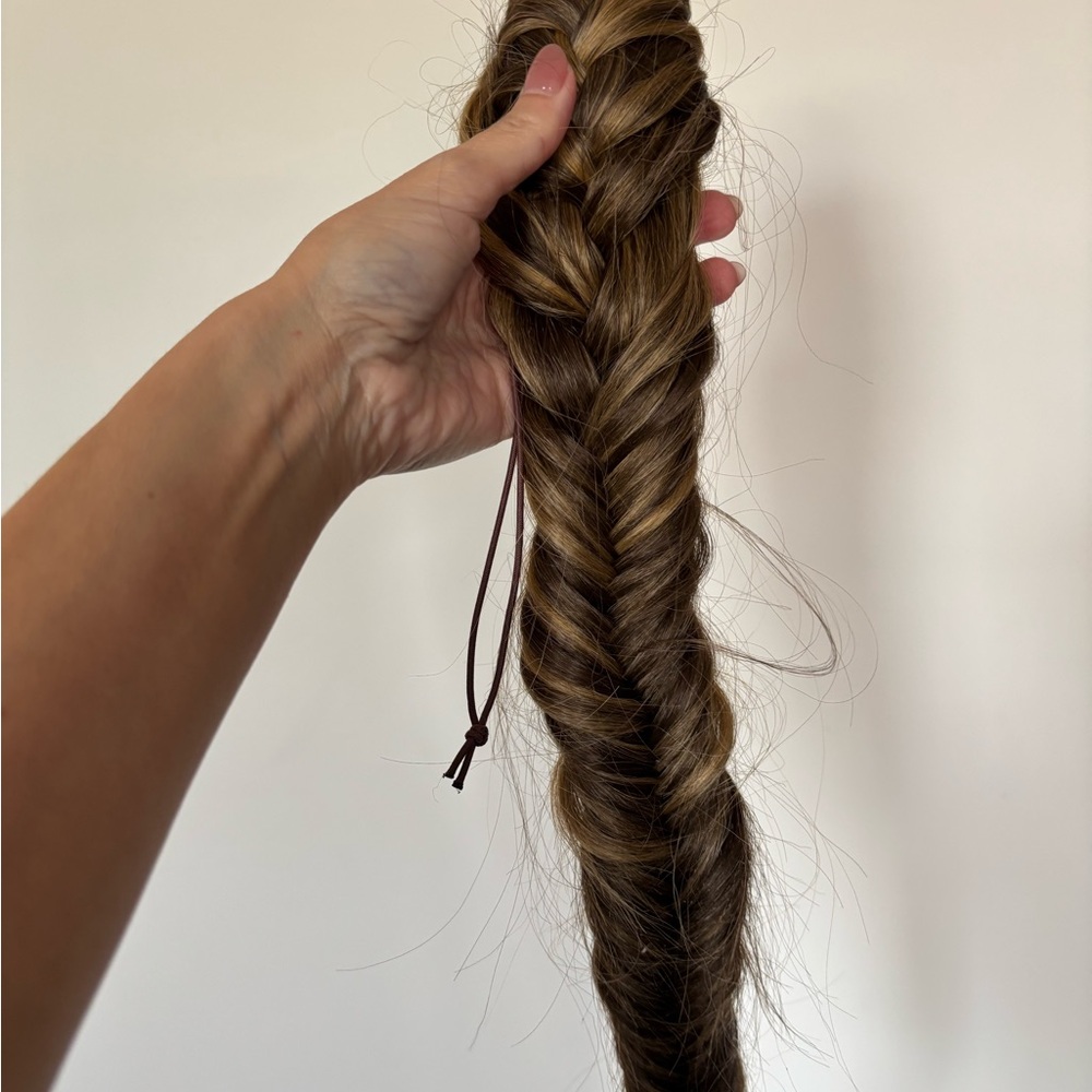 Bronde Hair Extension Braid